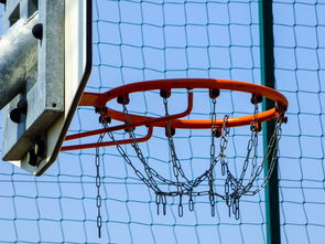 开云电竞服务-篮球专项技能动作运动控制机制分析与应用,篮球运动主要技术动作方法及其运用