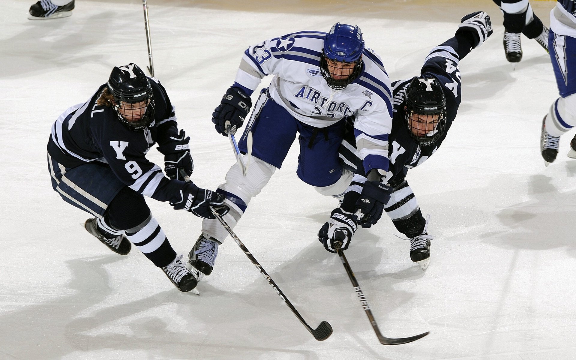 开云·体育官网-球员场上表现数据统计，球场上球员们的表现怎么形容